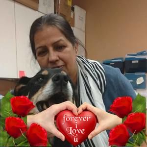 Meet your Posher, Harbinder